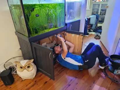 Best Pest Control in Sydney